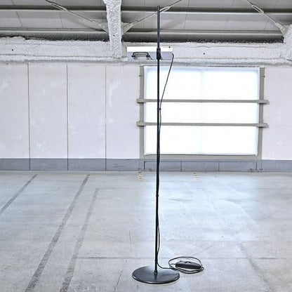 Vintage Stehlampe ATON TERRA von Ernesto Gismondi für Artemide