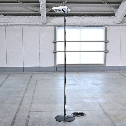 Vintage Stehlampe ATON TERRA von Ernesto Gismondi für Artemide