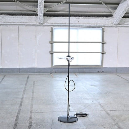 Vintage Stehlampe ATON TERRA von Ernesto Gismondi für Artemide