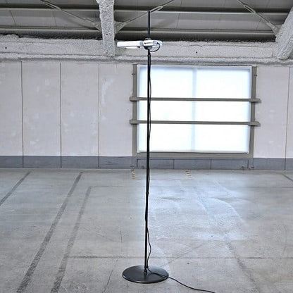 Vintage Stehlampe ATON TERRA von Ernesto Gismondi für Artemide