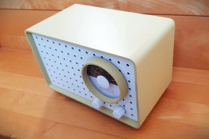 Vintage Tischradio Typ SK 2/2 von Dieter Rams für BRAUN Designklassiker