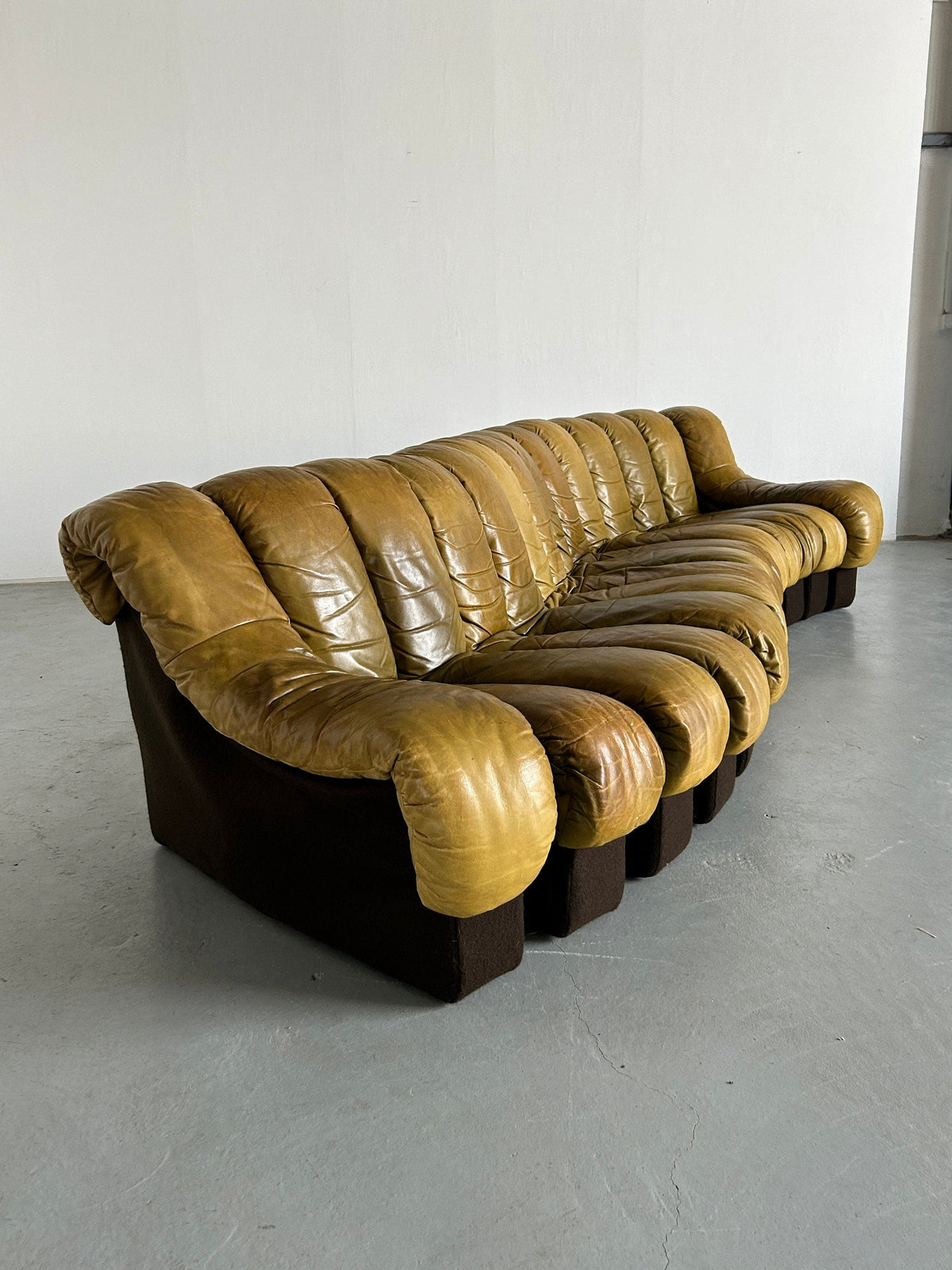 Vintage Modular Sofa DS-600 by De Sede 1970s Set of 14
