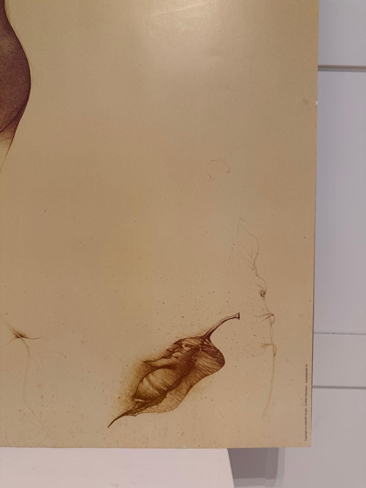 Vintage Poster Bruno Bruni Akt von Bruno Bruni für Lineart GmbH