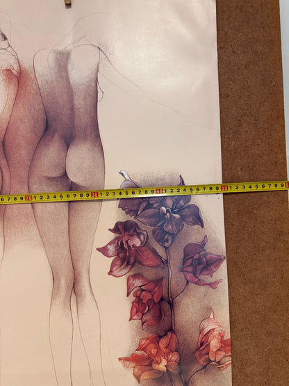 Vintage Kunstposter Orchideen für John von Bruno Bruni