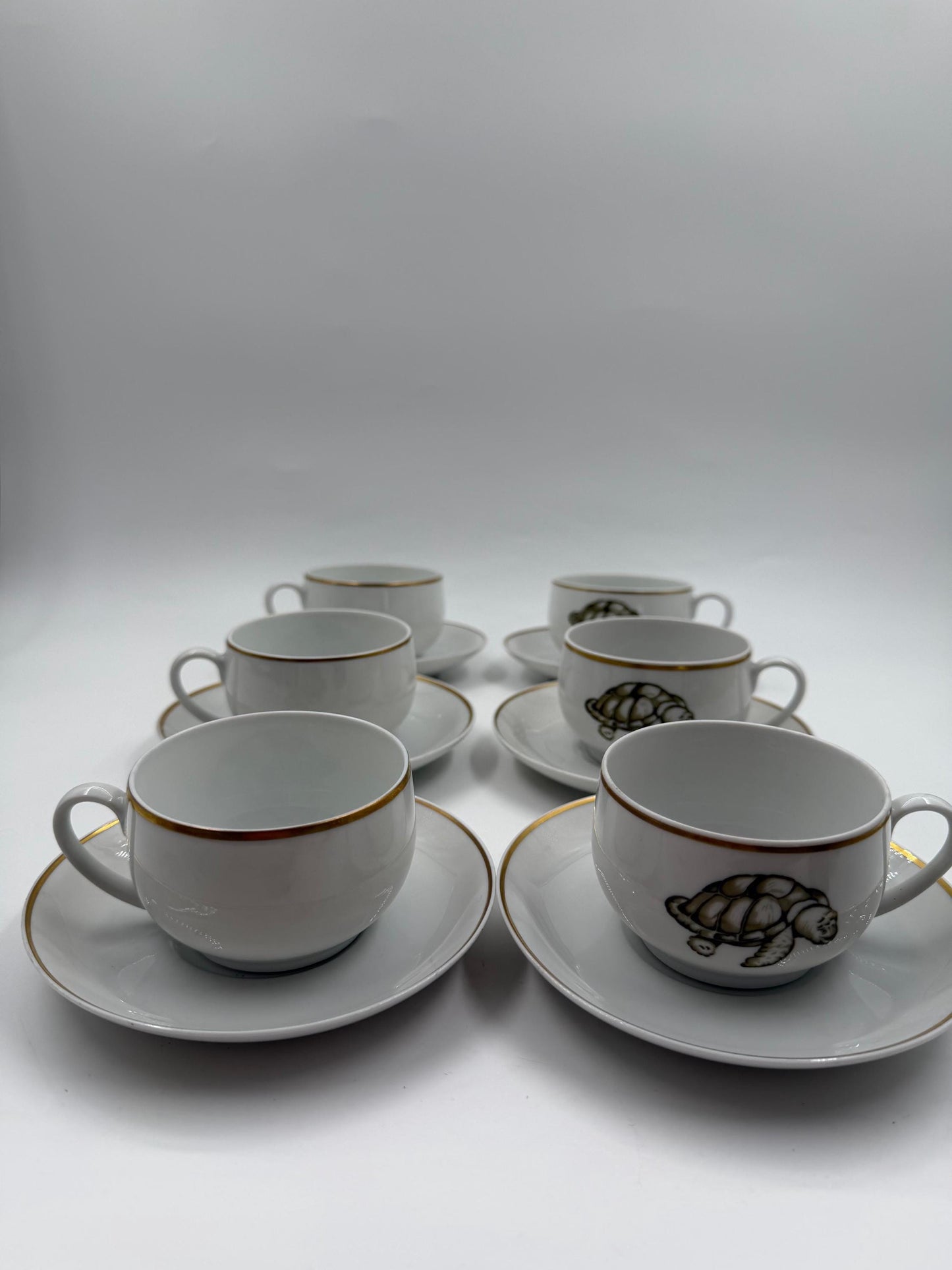 Vintage Mokka-Tasse Schildkröte von Tirschenreuth Goldrand Set 6 Pers.