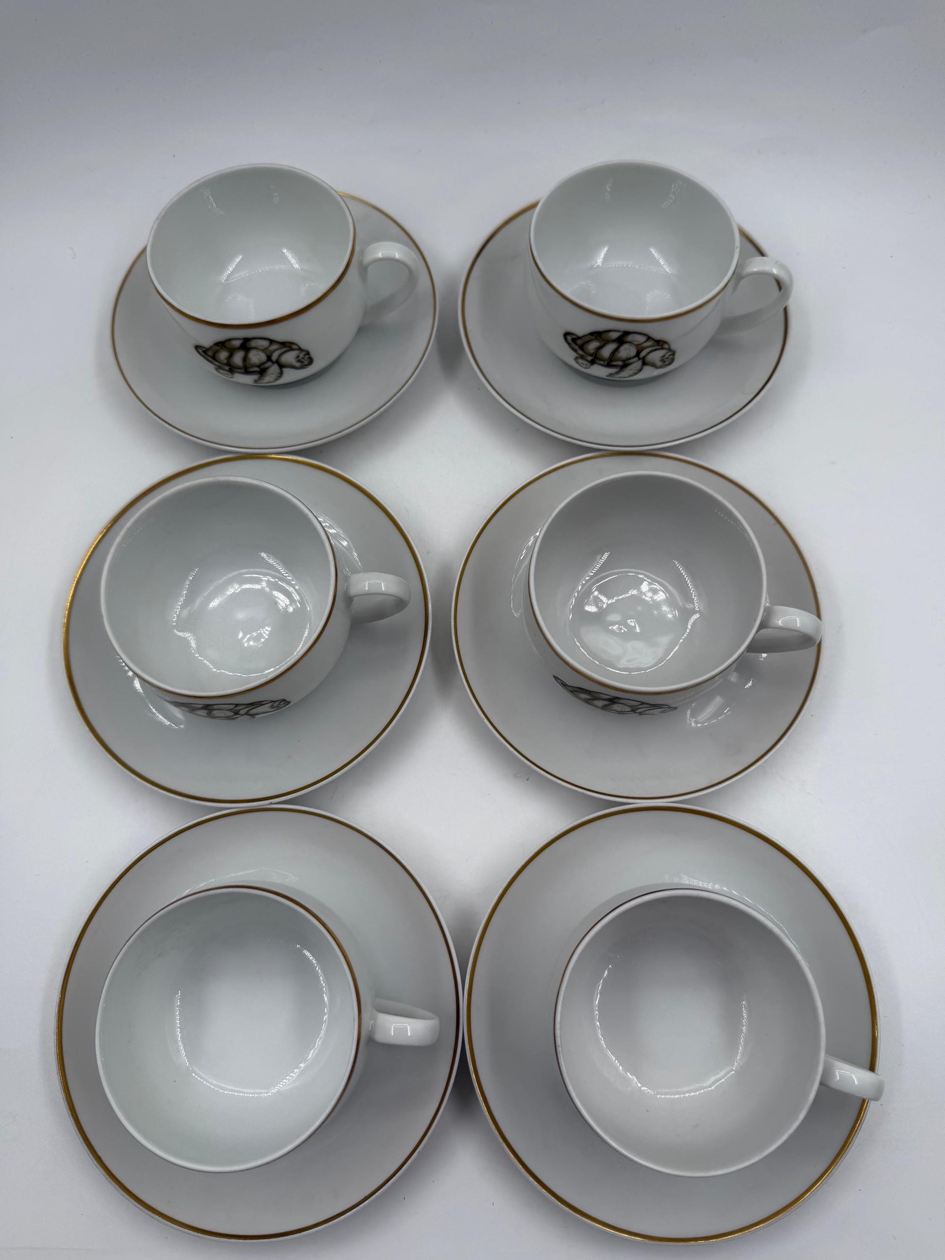Vintage Mokka-Tasse Schildkröte von Tirschenreuth Goldrand Set 6 Pers.