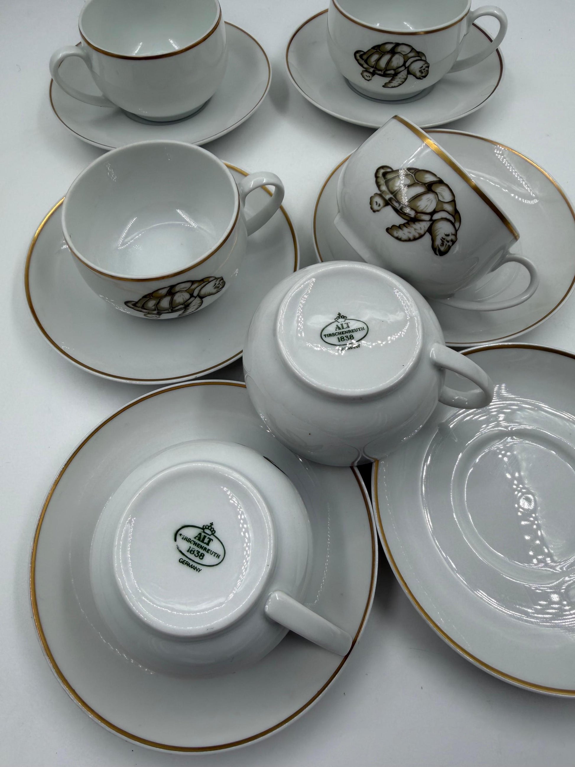Vintage Mokka-Tasse Schildkröte von Tirschenreuth Goldrand Set 6 Pers.