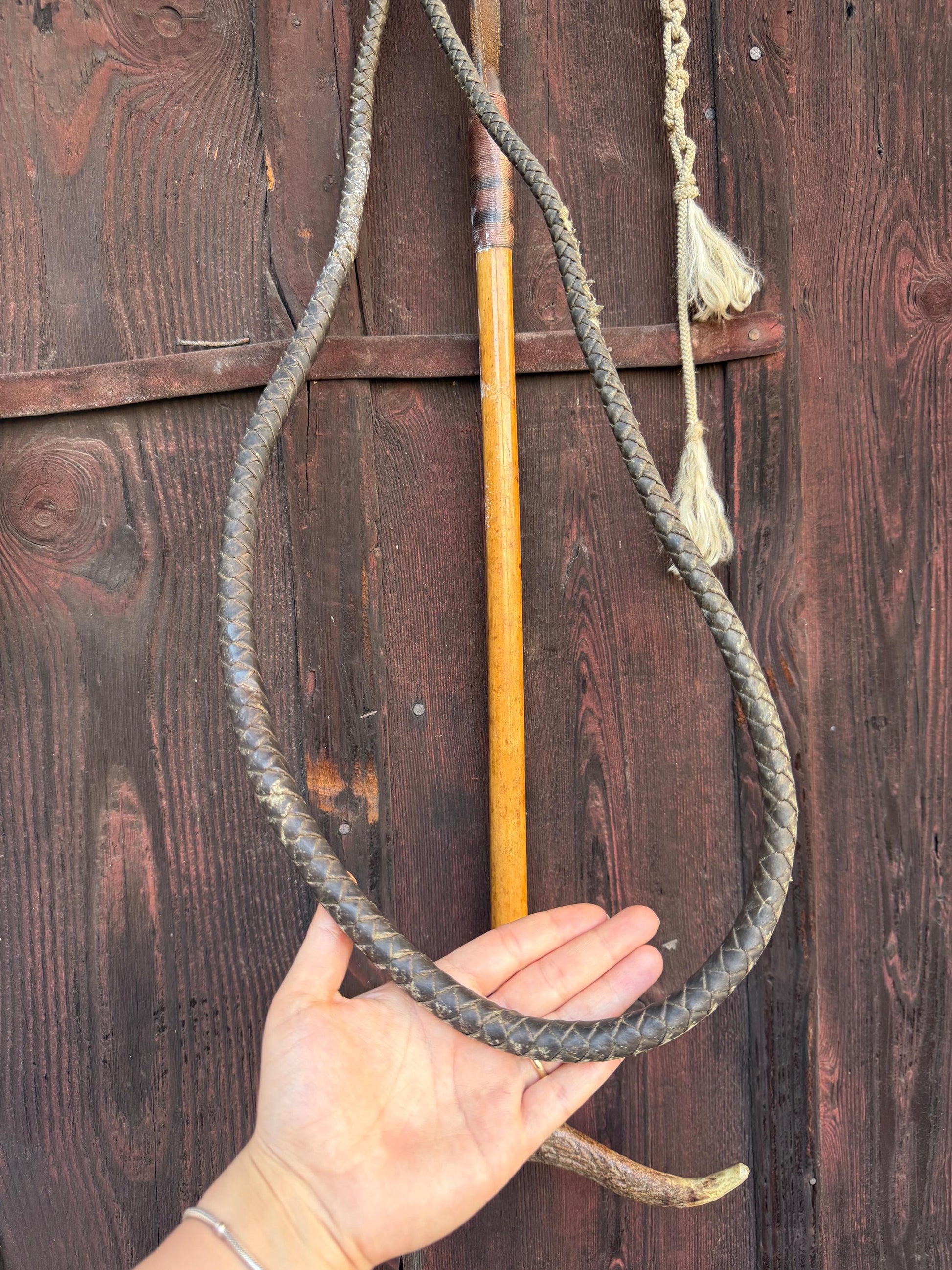 Vintage Jagdreitgerte mit Horngriff Hundekopf-Pfeife, Viktorianisch