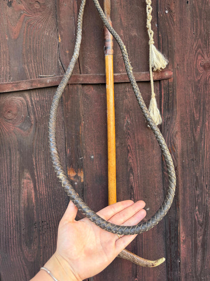 Vintage Jagdreitgerte mit Horngriff Hundekopf-Pfeife, Viktorianisch