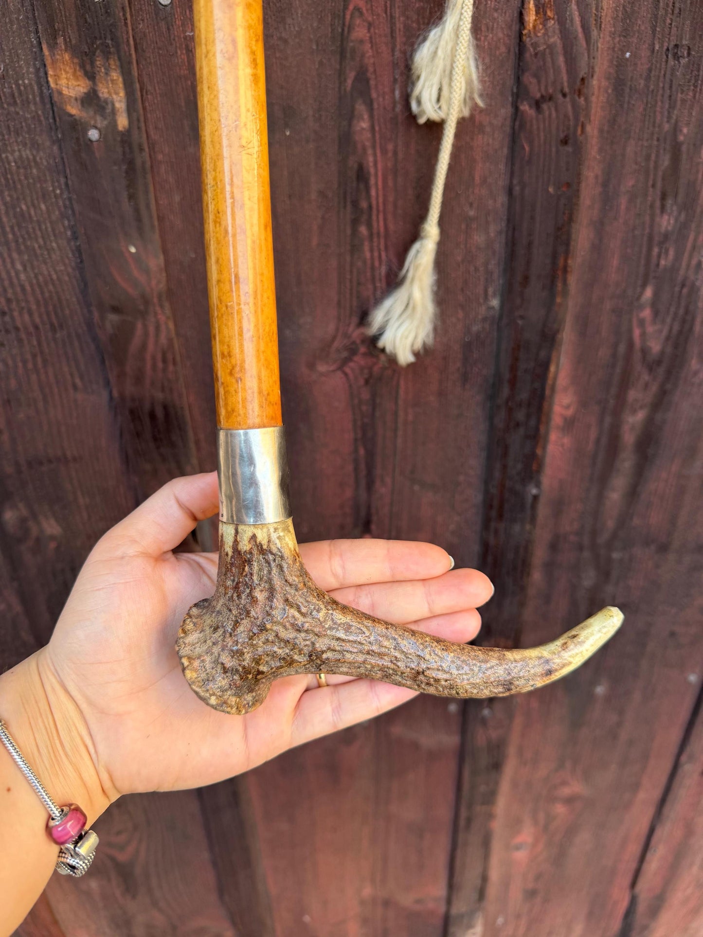 Vintage Jagdreitgerte mit Horngriff Hundekopf-Pfeife, Viktorianisch