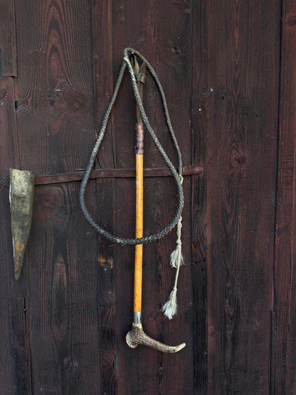 Vintage Jagdreitgerte mit Horngriff Hundekopf-Pfeife, Viktorianisch