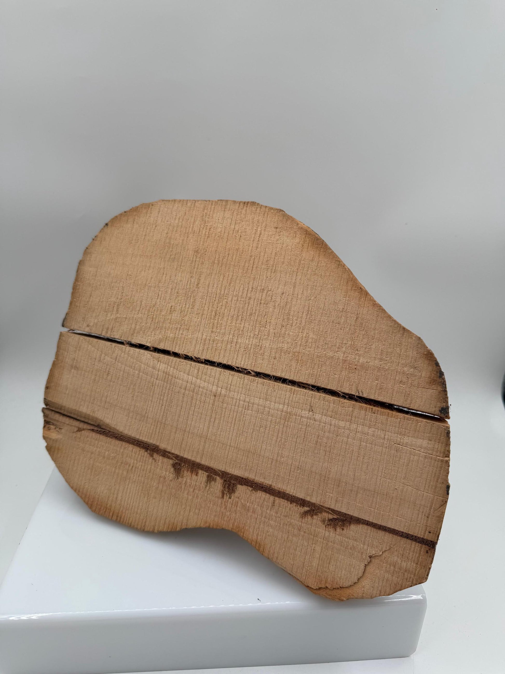 Vintage Holzskulptur Robbe, Schwarzwald Volkskunst