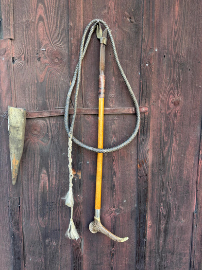 Vintage Jagdreitgerte mit Horngriff Hundekopf-Pfeife, Viktorianisch