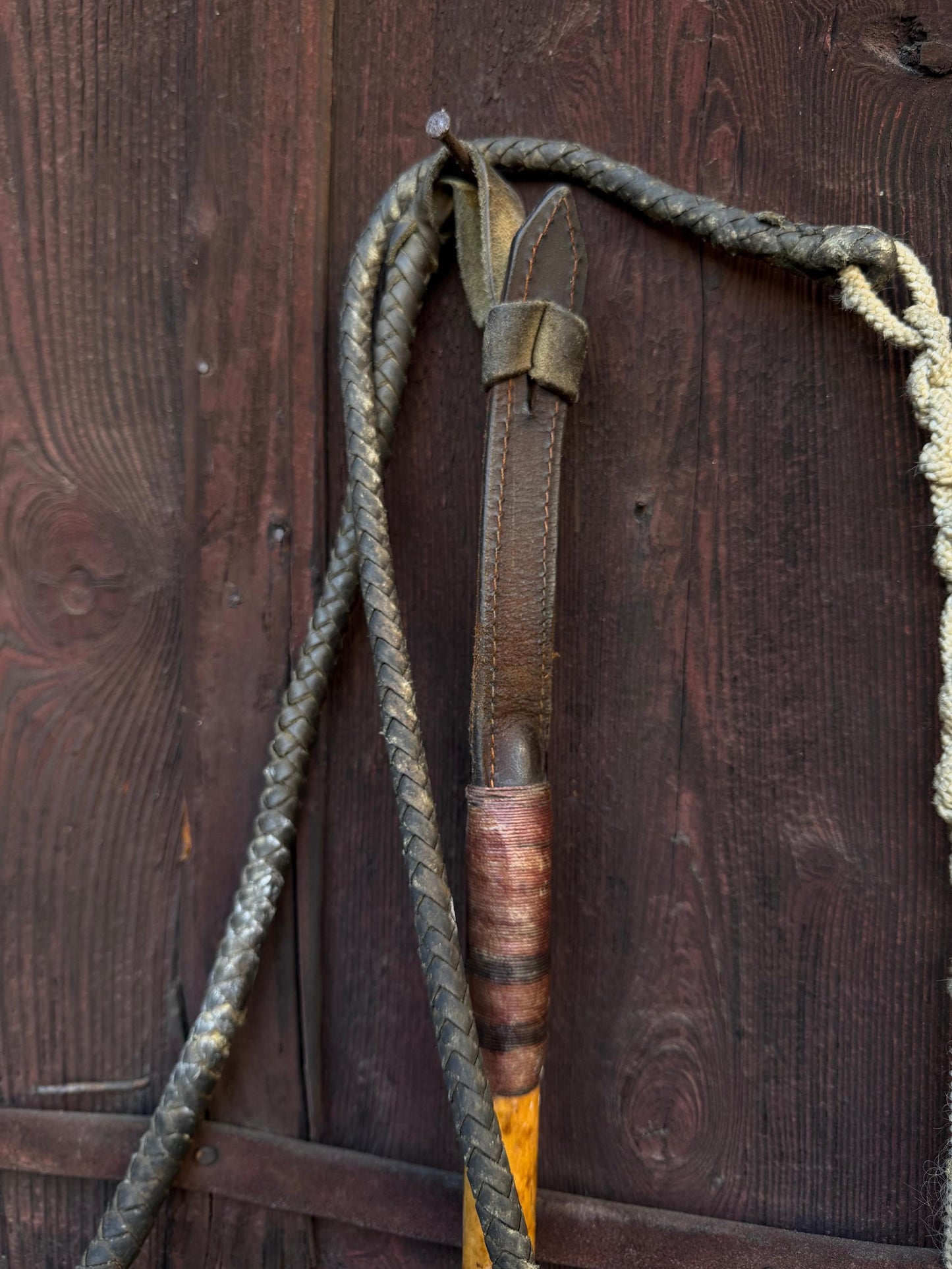 Vintage Jagdreitgerte mit Horngriff Hundekopf-Pfeife, Viktorianisch