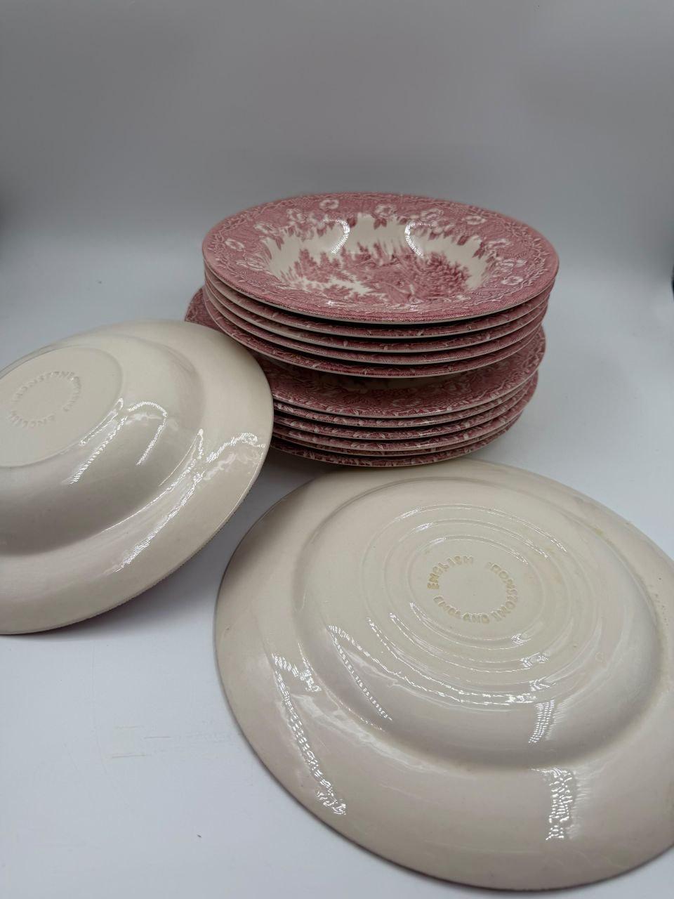 Set von 12 Vintage Geschirr Teller Englisches Ironstone Rot Pastoral