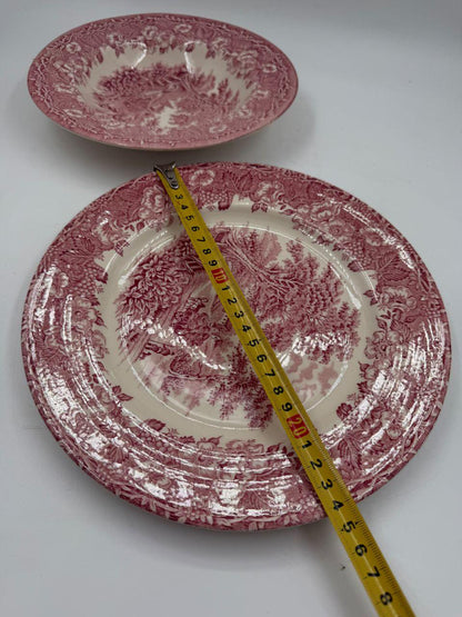 Set von 12 Vintage Geschirr Teller Englisches Ironstone Rot Pastoral