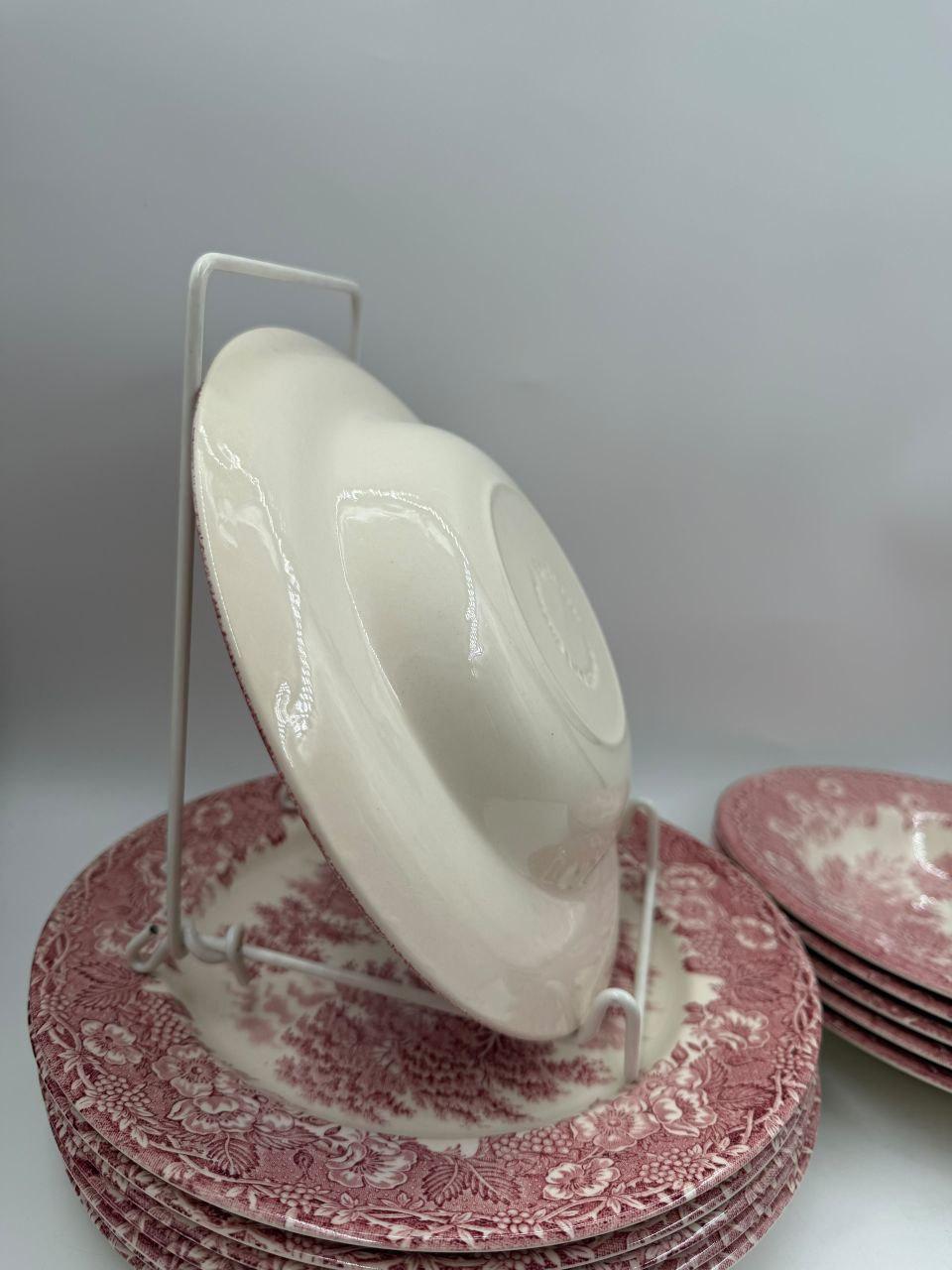 Set von 12 Vintage Geschirr Teller Englisches Ironstone Rot Pastoral
