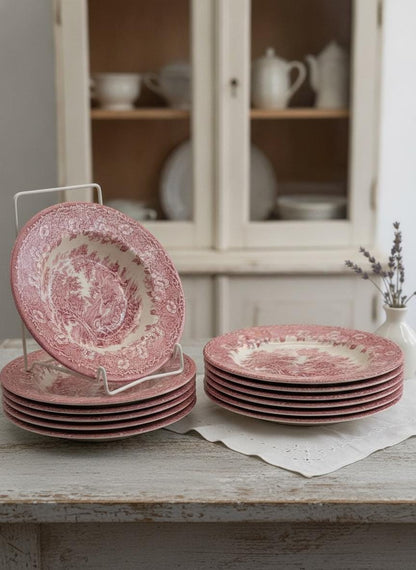 Set von 12 Vintage Geschirr Teller Englisches Ironstone Rot Pastoral