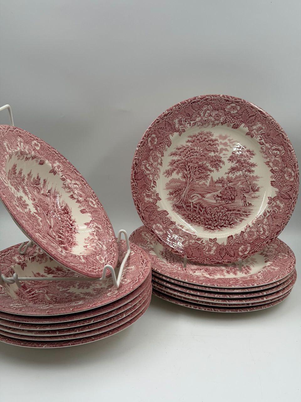Set von 12 Vintage Geschirr Teller Englisches Ironstone Rot Pastoral