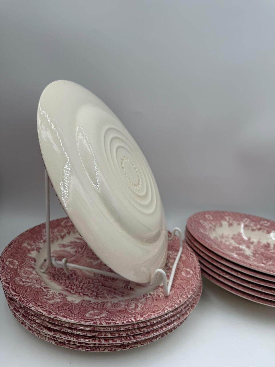 Set von 12 Vintage Geschirr Teller Englisches Ironstone Rot Pastoral