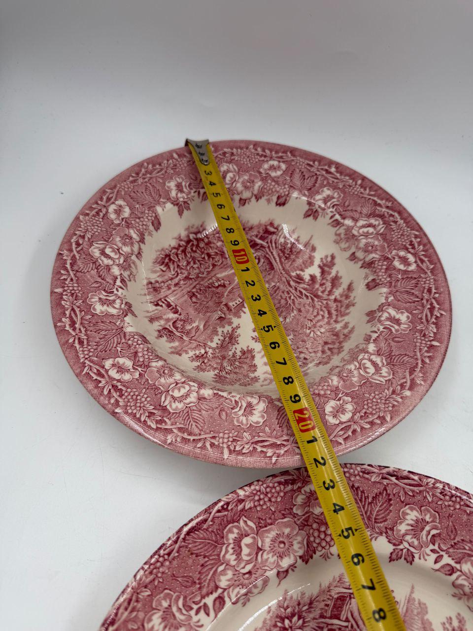 Set von 12 Vintage Geschirr Teller Englisches Ironstone Rot Pastoral