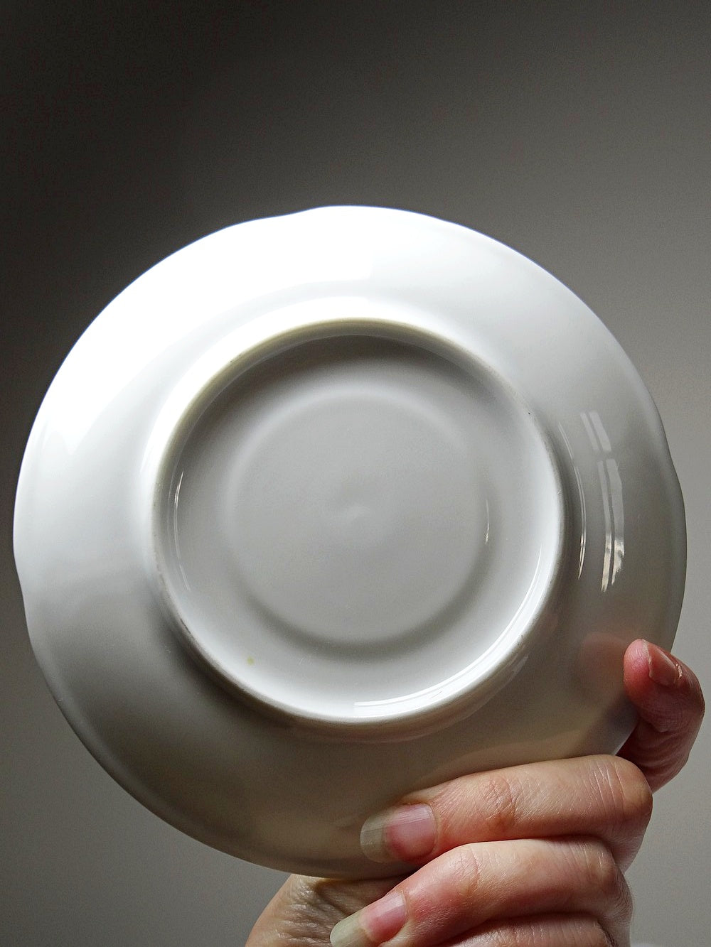 Set von 5 Vintage Tasse "Palm" von Bernardaud, zwei Henkel