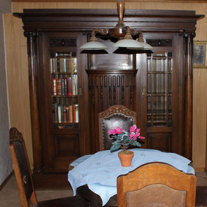 Vintage Schrank Wohnzimmerschrank aus Eiche, Jugendstil, verglast, sehr gut