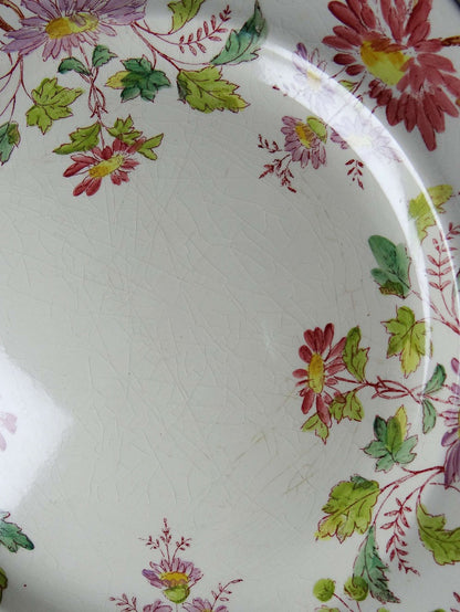 Set von 4 Vintage Dessertteller "Pâquerettes" von Longchamp
