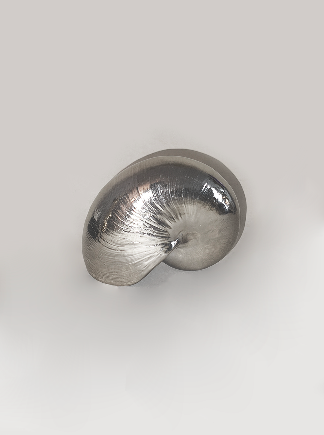 Vintage Skulptur Nautilusmuschel