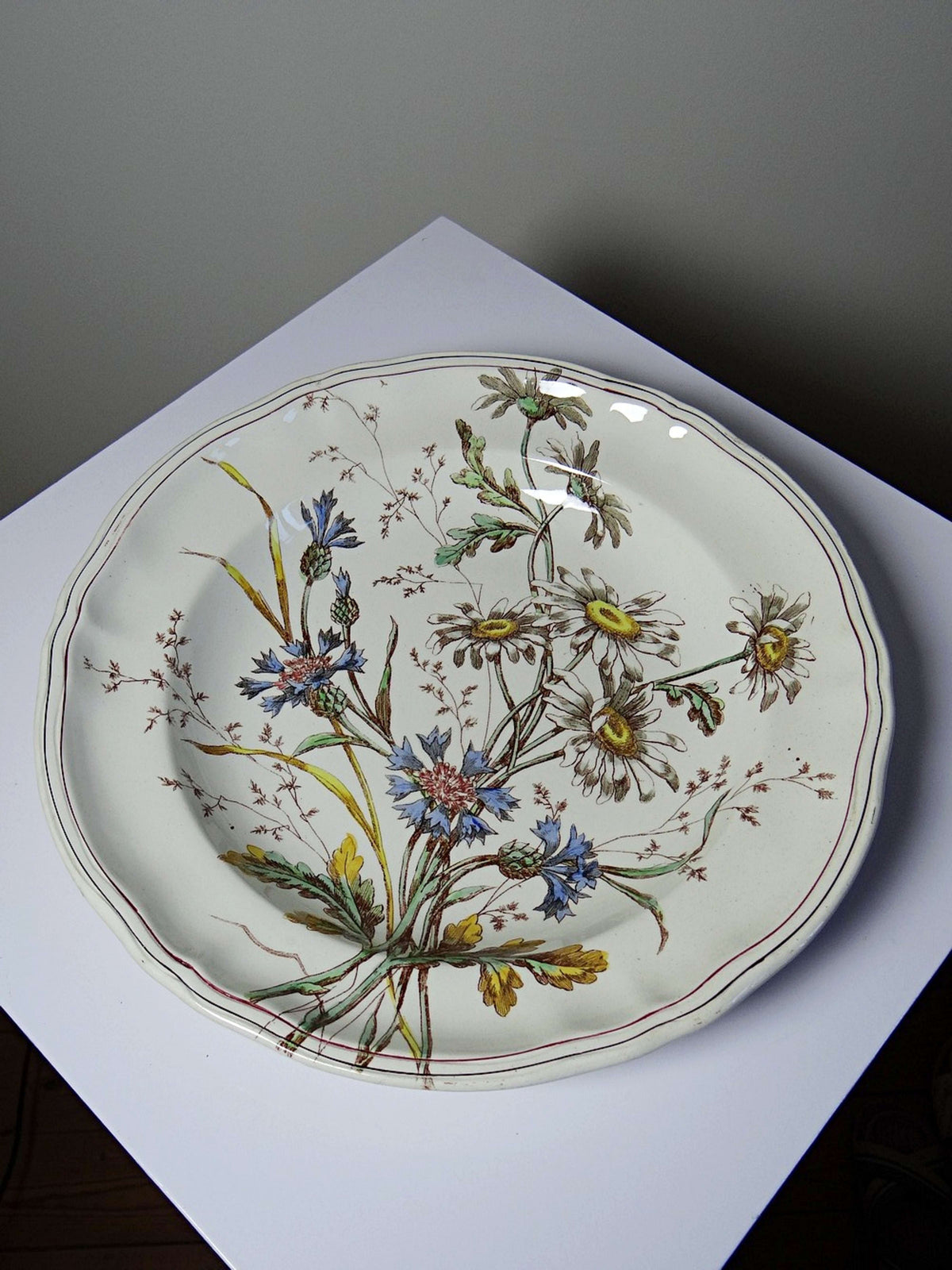 Vintage Teller "Marguerites" von Longchamp, Terre de Fer