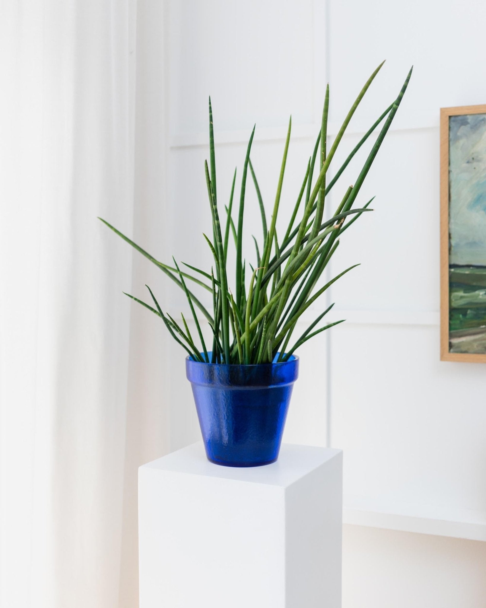 Vintage Blumentopf Flower Pot aus blauem Glas, strukturiert, Italien 1970er, seltenes Einzelstück