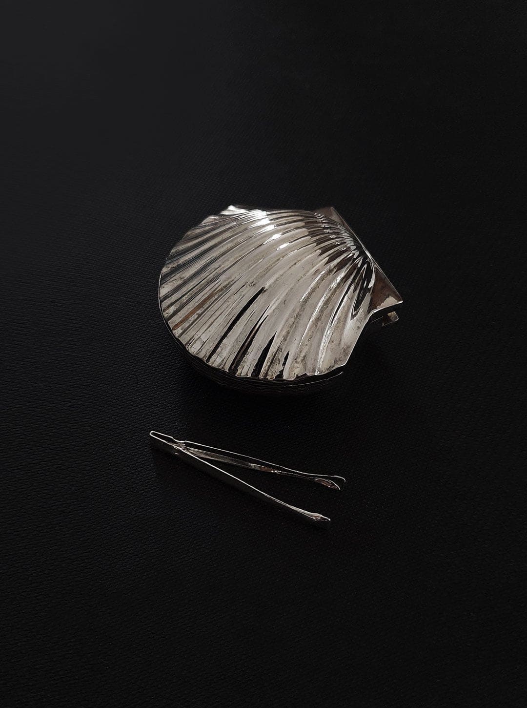 Muschelbox: Elegantes Design für kleine Schätze