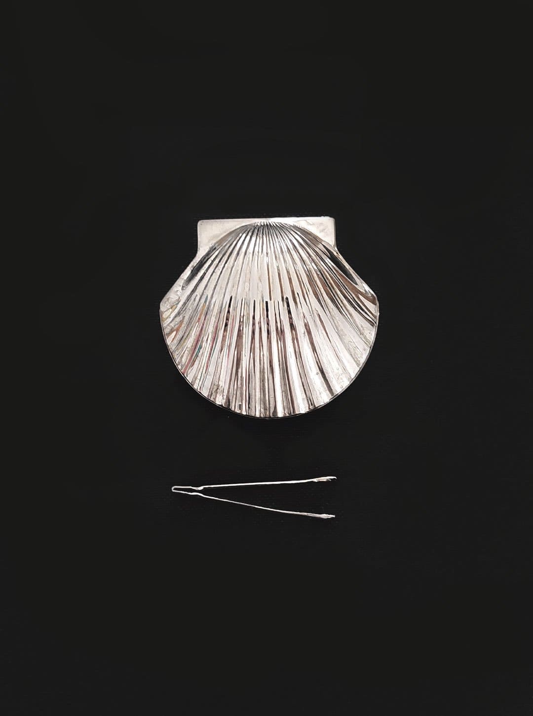 Muschelbox: Elegantes Design für kleine Schätze