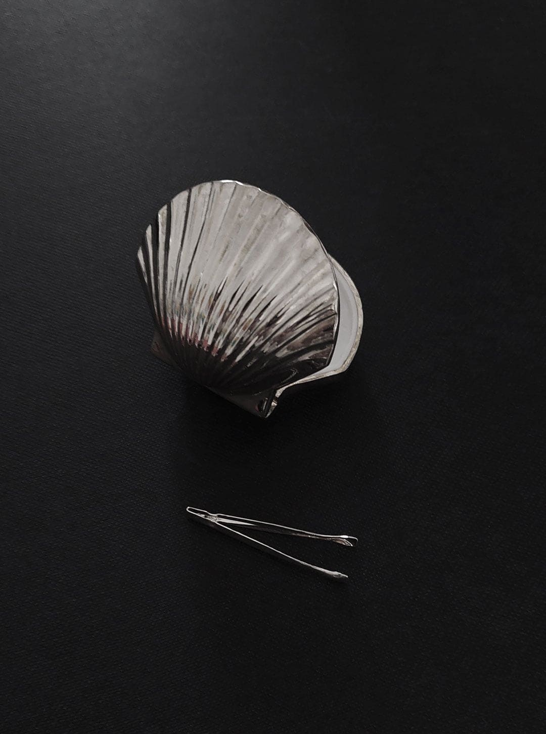 Muschelbox: Elegantes Design für kleine Schätze