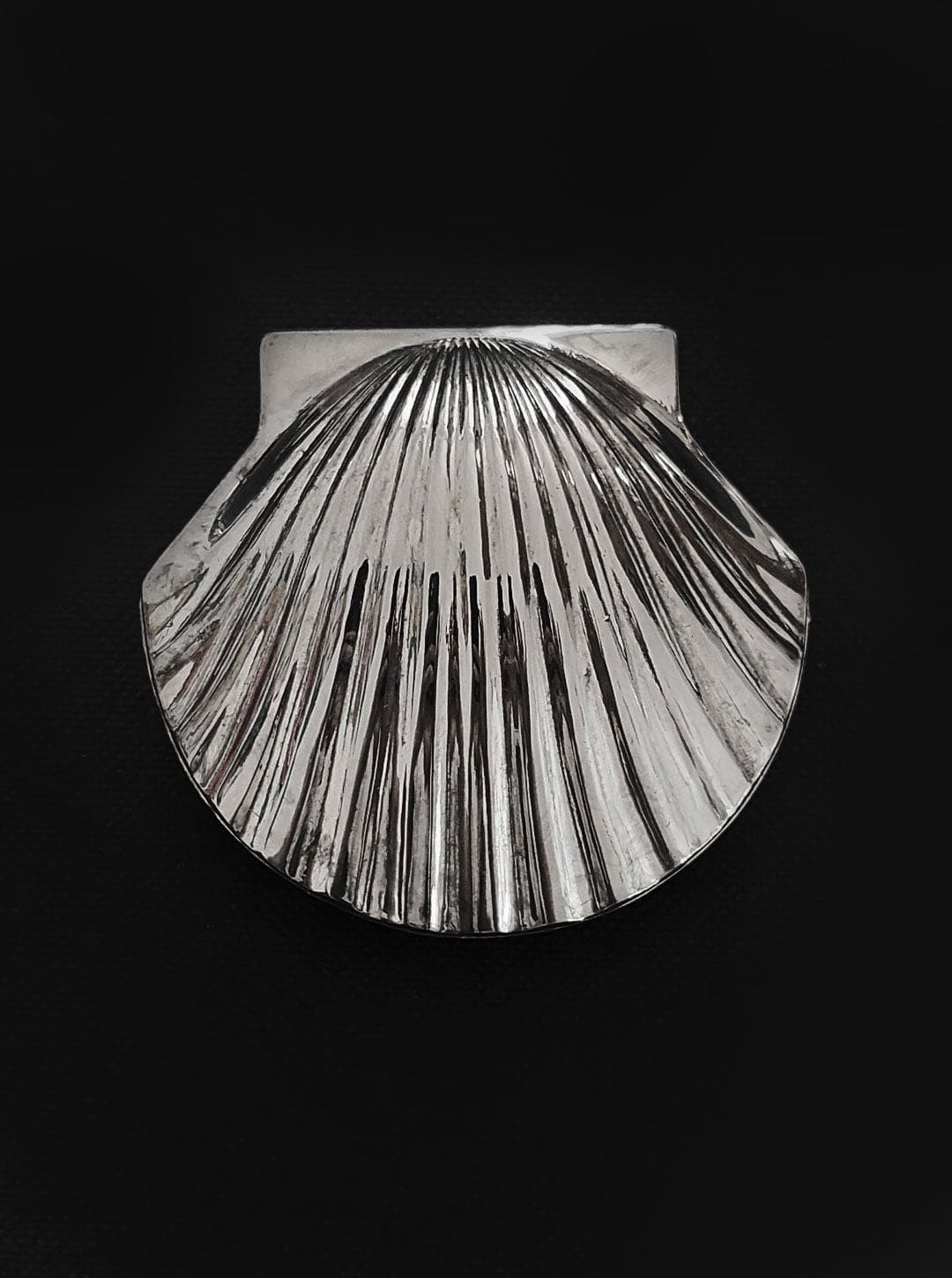 Muschelbox: Elegantes Design für kleine Schätze