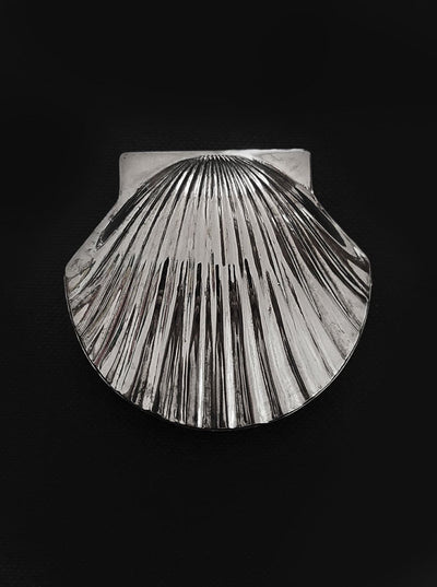 Shell box: Elegant design for small treasures
