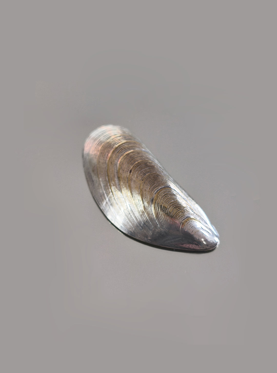 Vintage Schale Small Shell Cup