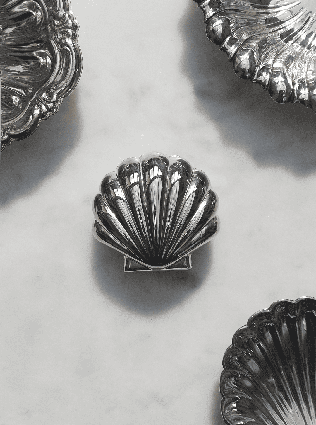 Muschelbox: Elegantes Design für kleine Schätze