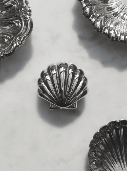 Muschelbox: Elegantes Design für kleine Schätze