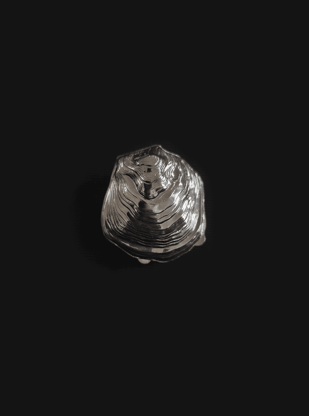 Small oyster box