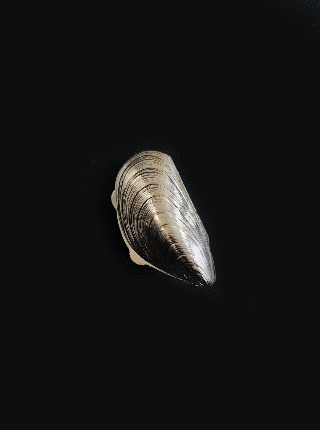 Vintage Schatulle Small Shell Box