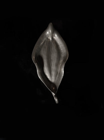 Vintage Vide-Poche Leaf