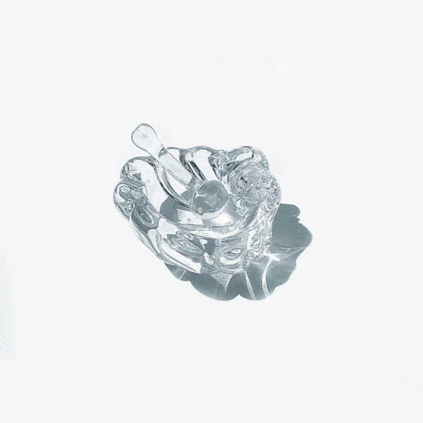 Schale Moutardier Coquillage Glas Transparent