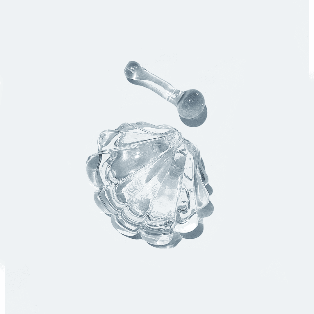 Schale Moutardier Coquillage Glas Transparent