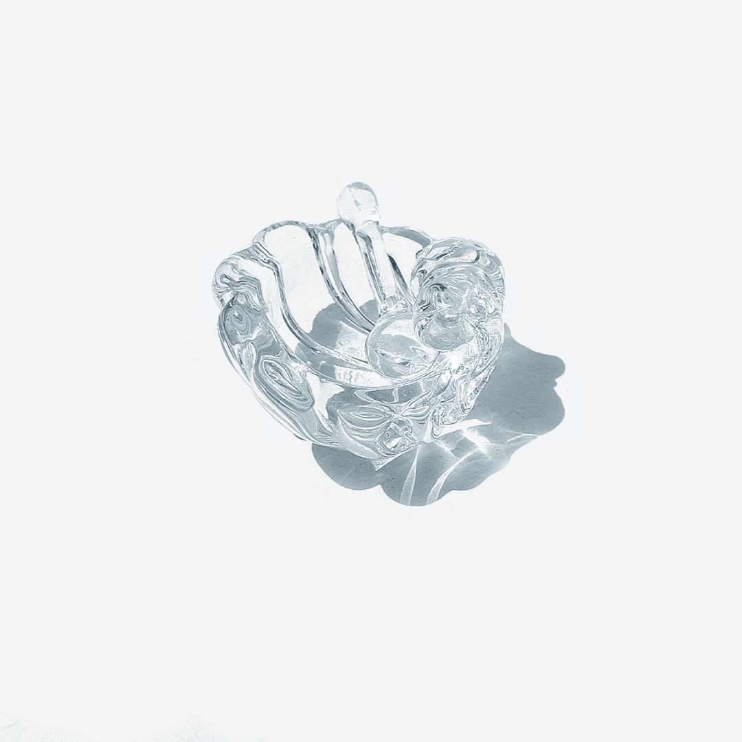Schale Moutardier Coquillage Glas Transparent