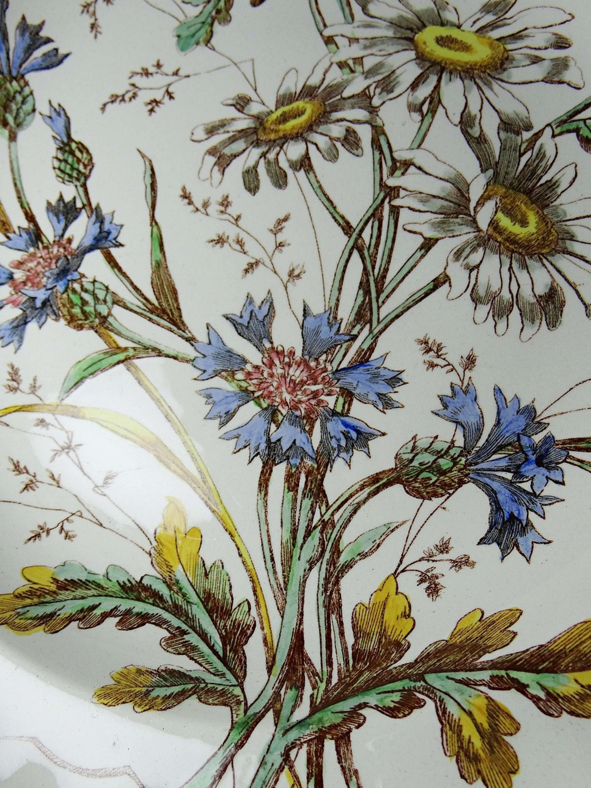 Vintage Teller "Marguerites" von Longchamp, Terre de Fer