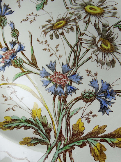 Vintage Teller "Marguerites" von Longchamp, Terre de Fer