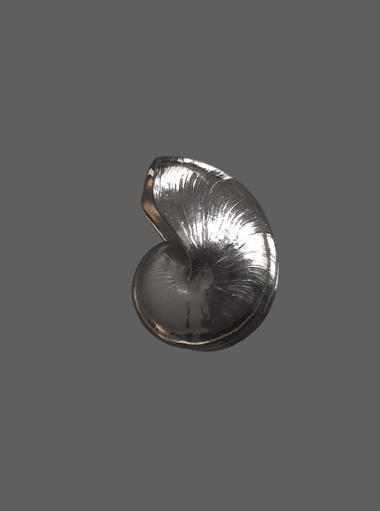 Vintage Skulptur Nautilusmuschel
