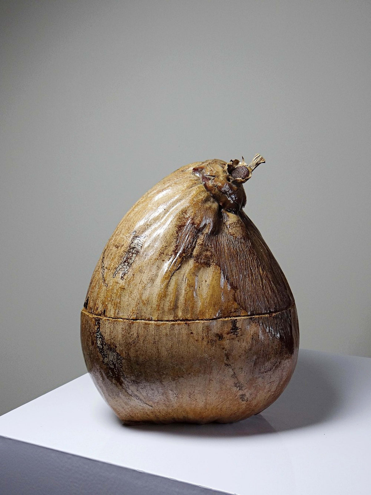 Vintage Dose Kokosnuss, afrikanisches Kunsthandwerk