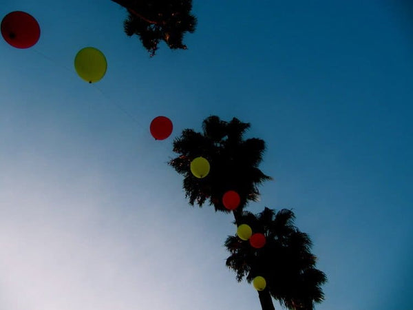 Ballon Vintage par Océane BURET pour Fujicolor vivid Lot de 2
